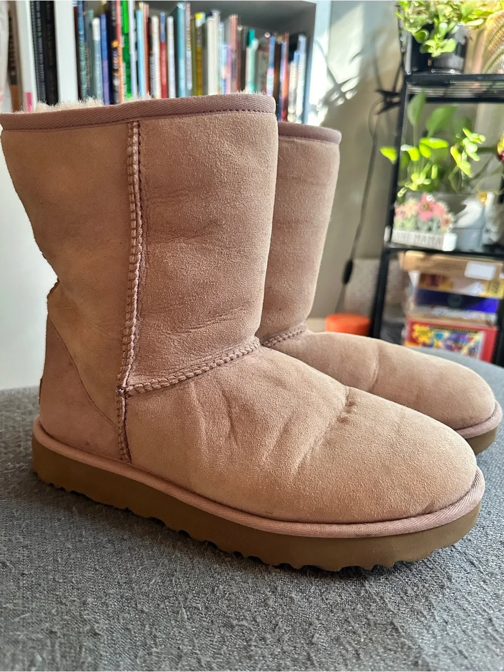 Classic Cozy tall Ugg Suede Boots - Dusty Pink